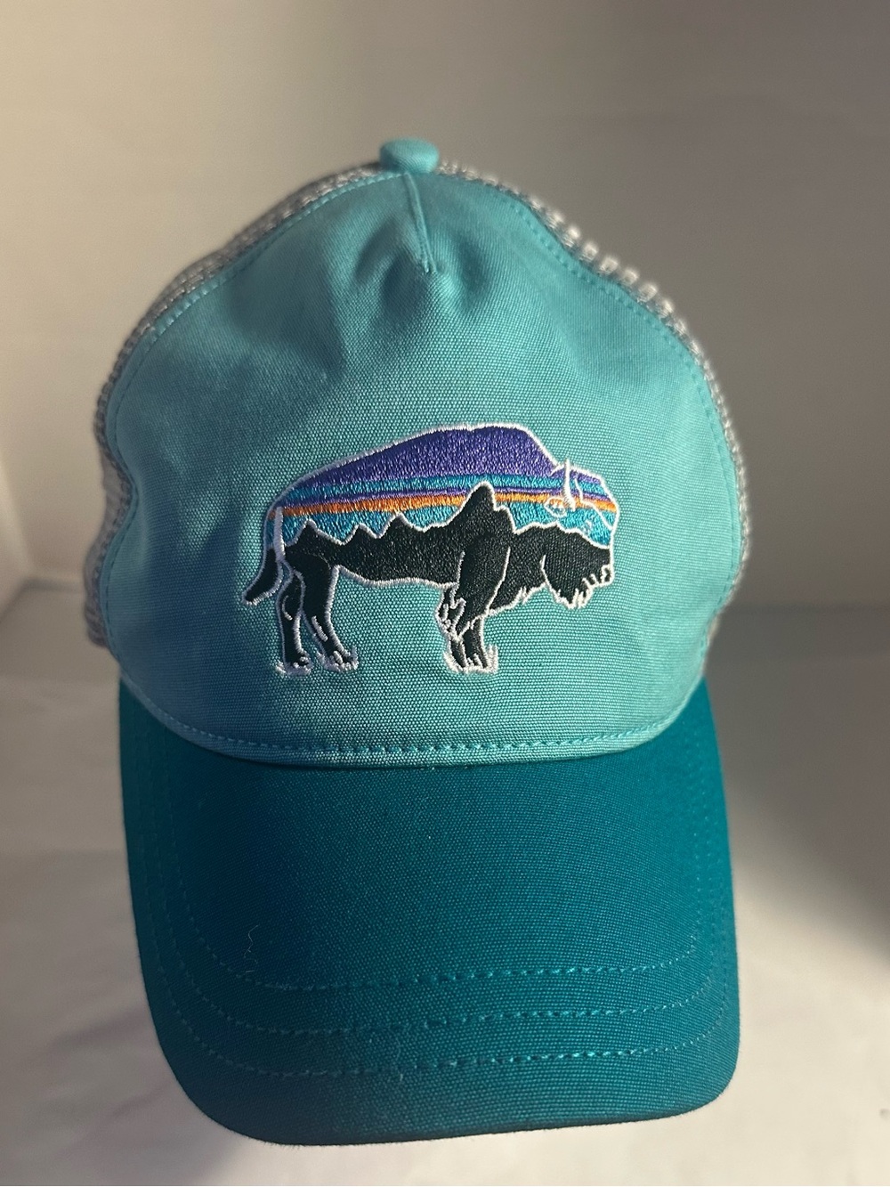 Women’s Patagonia Fitz Roy Bison Trucker Hat Blue/Teal